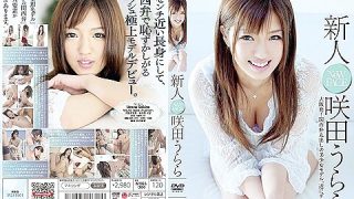 Urara Sakita in New Face 1.1